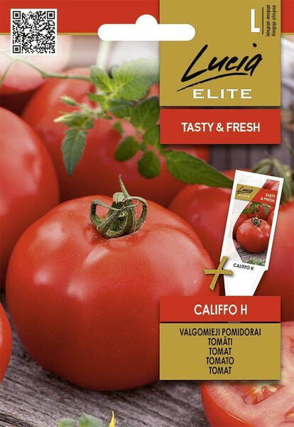 Tomaatti "Califfo" F1